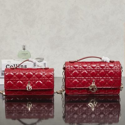 Dior Bag — 6