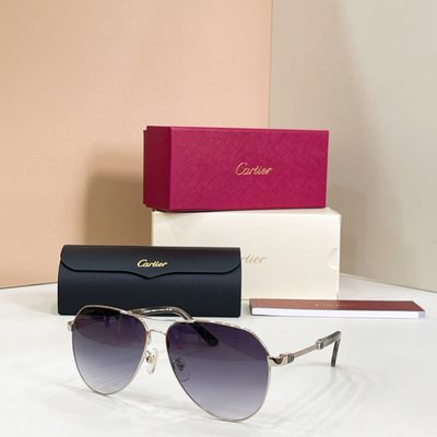 Cartier sunglasses — 6