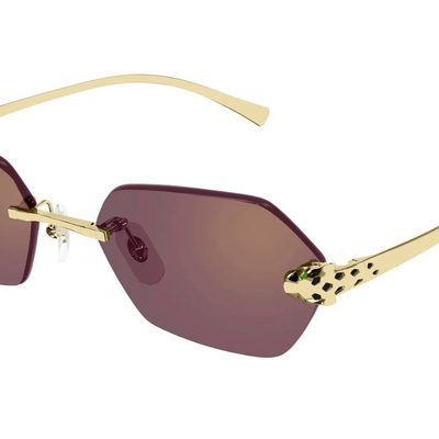 Cartier Sunglasses — 3