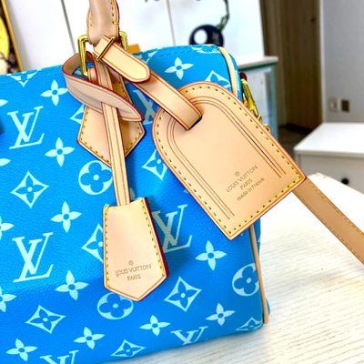 Louis Vuitton Bag — 4
