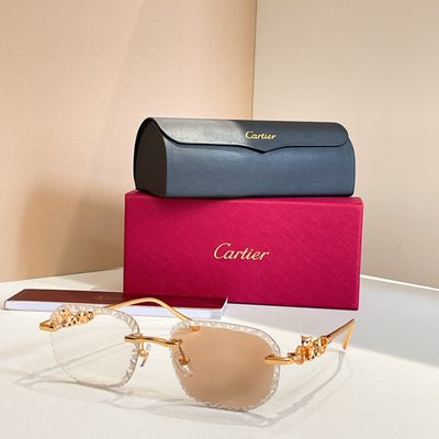 Cartier Sunglasses — 7
