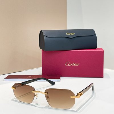 Cartier Sunglasses — 3