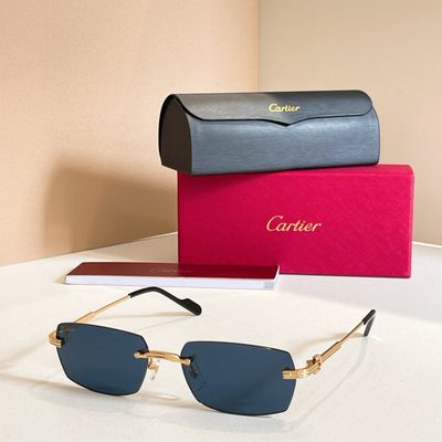 Cartier Sunglasses — 6