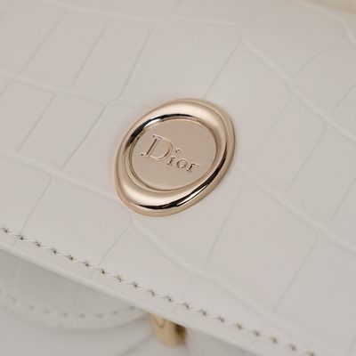 Dior Bag — 8
