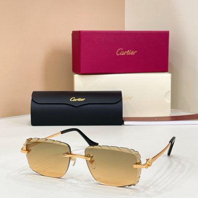 Cartier sunglasses — 7
