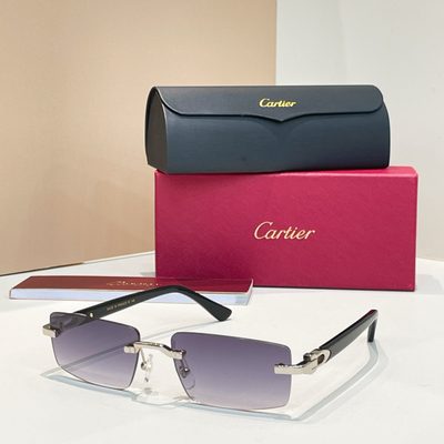 Cartier Sunglasses — 6