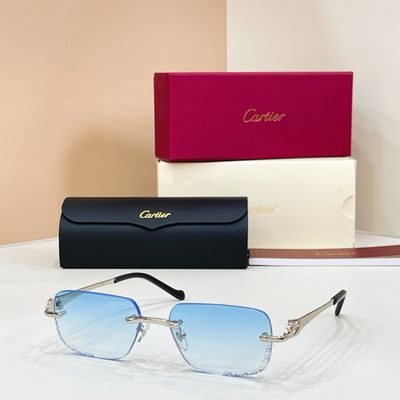 Cartier sunglasses — 6