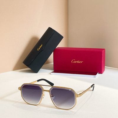Cartier Sunglasses — 3