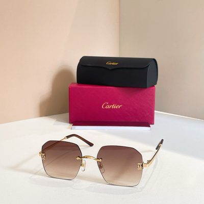 Cartier Sunglasses — 6