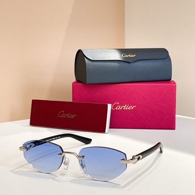 Cartier Sunglasses — 6