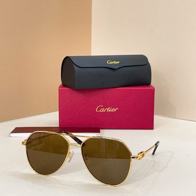 Cartier Sunglasses — 6