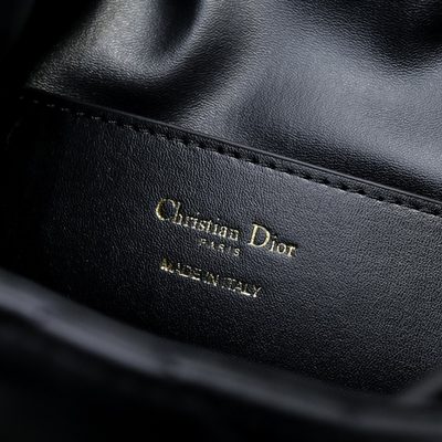 Dior Bag — 9