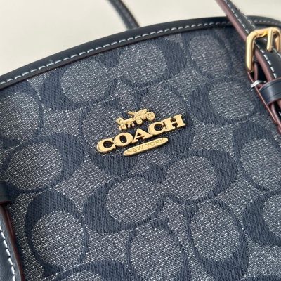 Coach Bag — 6