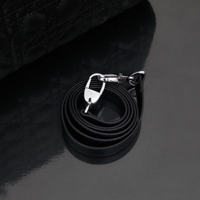 Dior Bag — 6