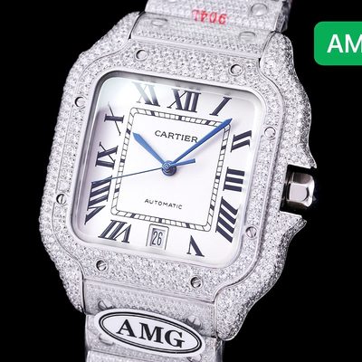 Cartier Watch — 6