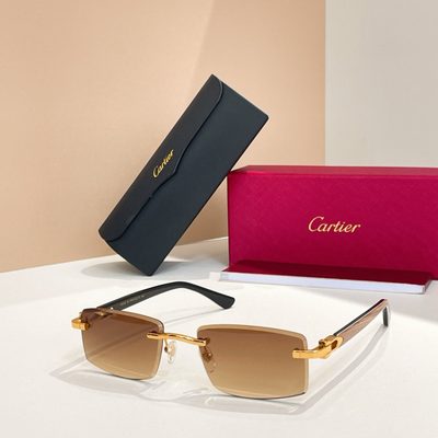 Cartier Sunglasses — 3