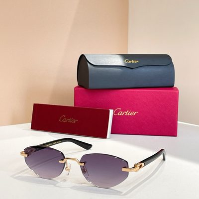 Cartier Sunglasses — 5