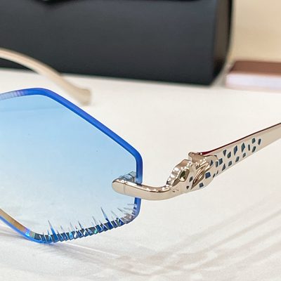 Cartier Sunglasses — 7