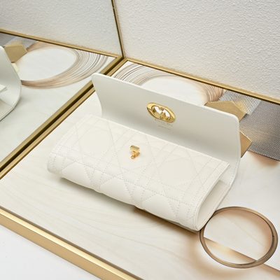Dior Bag — 9