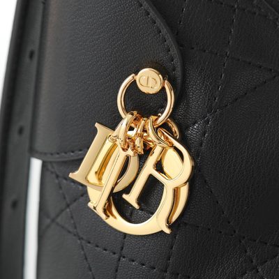 Dior Bag — 6
