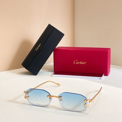 Cartier Sunglasses — 4