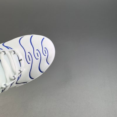 Nike Air Max Plus trainers — 7