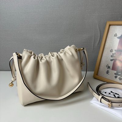 Coach Bag — 4