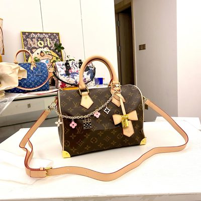 Louis Vuitton Bag
