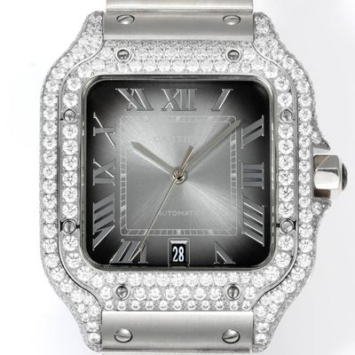 Cartier Watch — 4