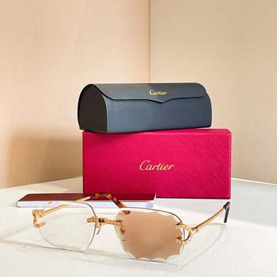 Cartier Sunglasses — 8