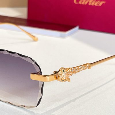 Cartier Sunglasses — 9
