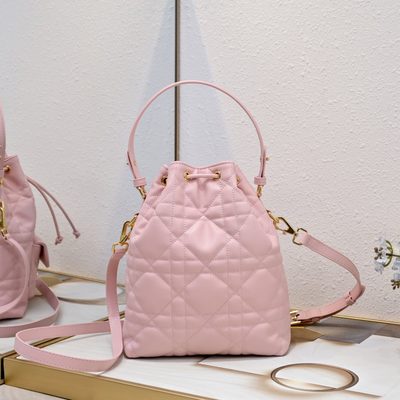 Dior Bag — 4