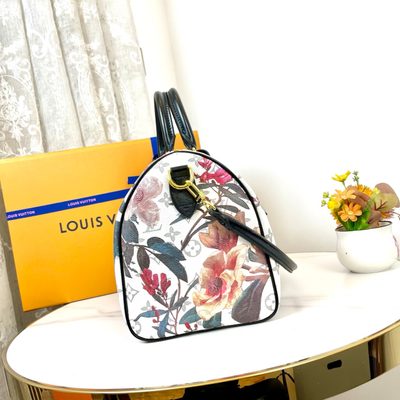 Louis Vuitton Bag — 5