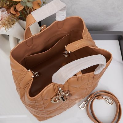 Dior Bag — 10