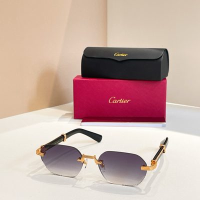 Cartier Sunglasses — 4