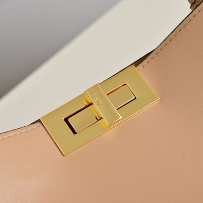 Fendi Bag — 6
