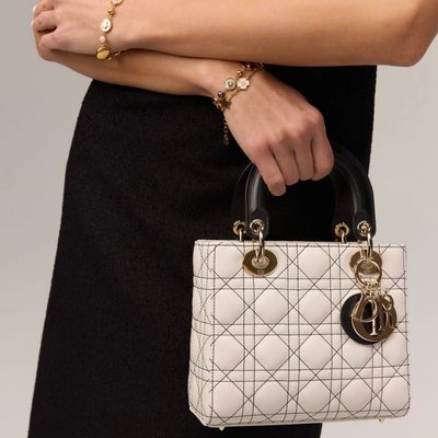 Dior Bag — 9