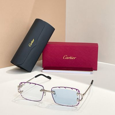 Cartier Sunglasses — 4