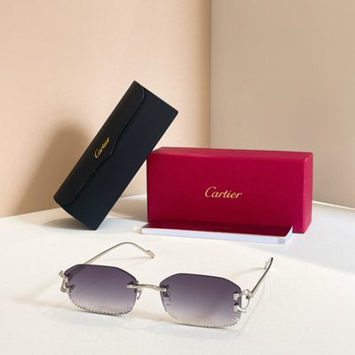Cartier Sunglasses — 3