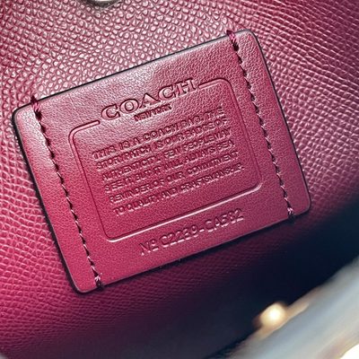 Coach Bag — 9
