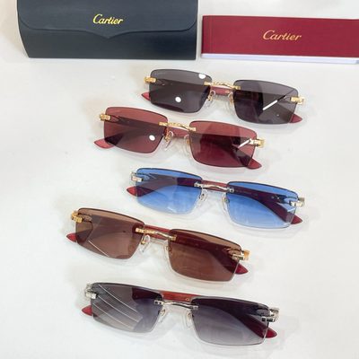 Cartier Sunglasses — 8