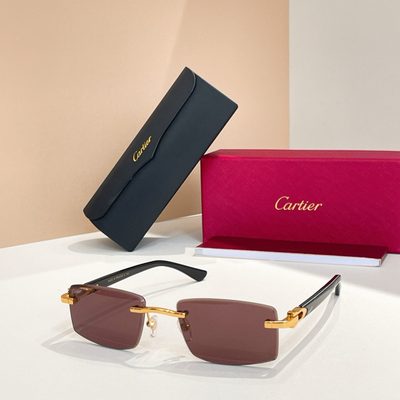 Cartier Sunglasses
