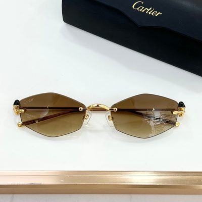 Cartier Sunglasses — 7