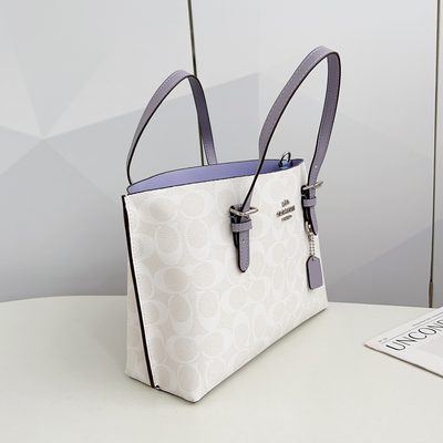Coach Bag — 17