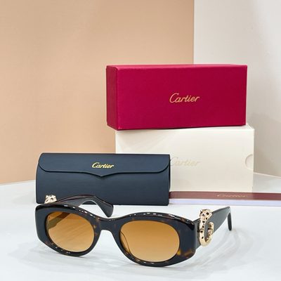 Cartier Sunglasses — 3