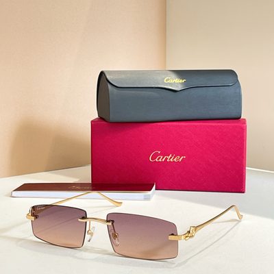 Cartier Sunglasses — 7
