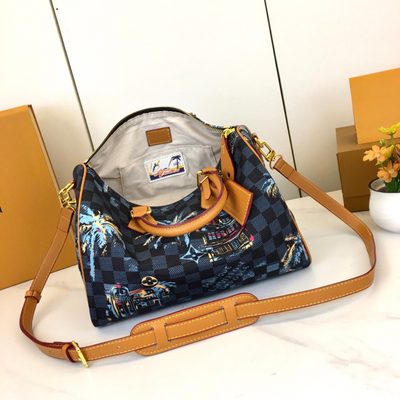 Louis Vuitton Bag — 7