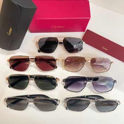 Cartier Sunglasses — 8