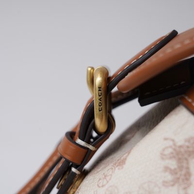 Coach Bag — 5