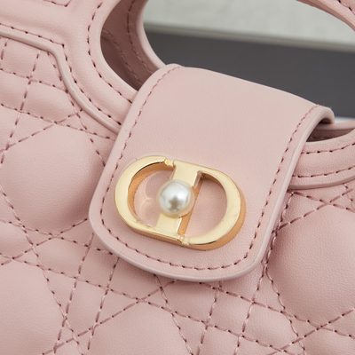 Dior Bag — 5